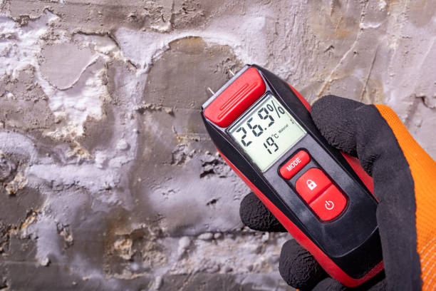 Best Water Damage Restoration  in Hickman, KY