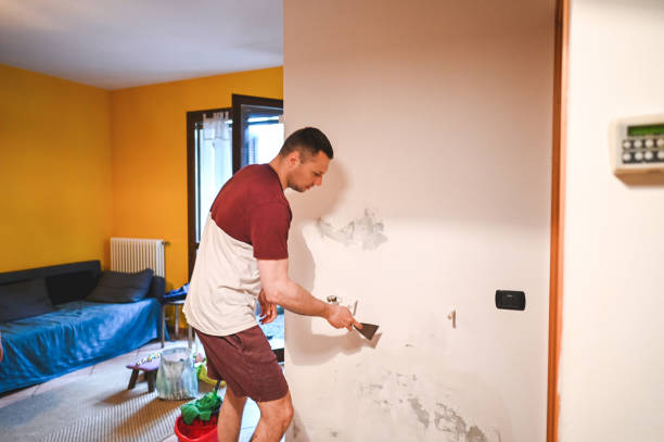 Best Mold Removal Specialists  in Hickman, KY